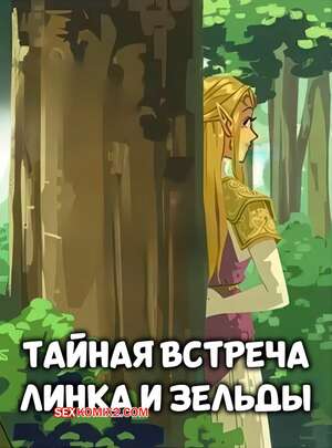Порно комикс Legend Zelda. Тайная встреча Линка и Зельды. Lophilia Spicy
