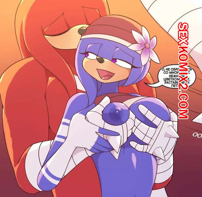 Порно комикс Соник. Ночи ехидны. Echidna Nights. Marik Azemus